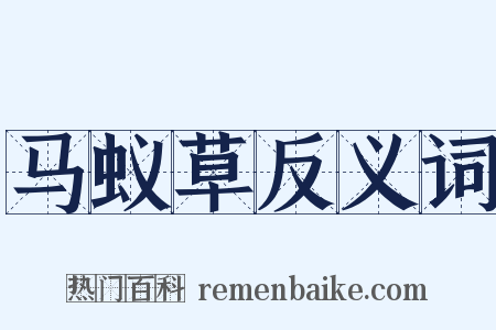 马蚁草反义词是什么意思的图片